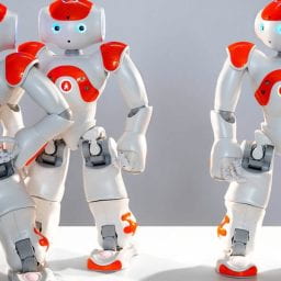 These family robots can play trivia and act as security. Can they cure loneliness?